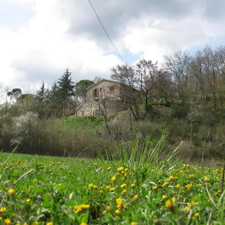 La Passerella Am Fluss *